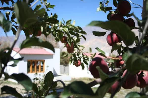 Himalayan Eco Resort Hundar Eksteriør bilde